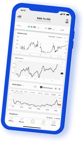 Batu Modaltama digital web application on mobile device